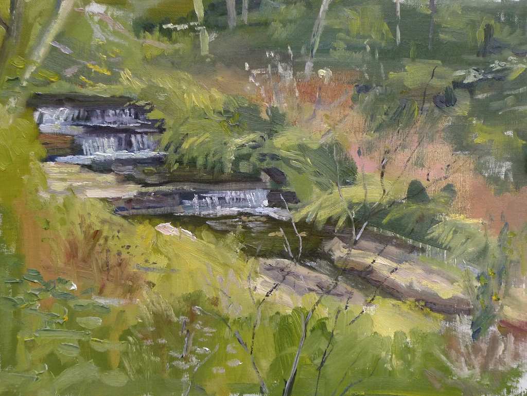 Radnor Lake Spillway by Matthew Lee 