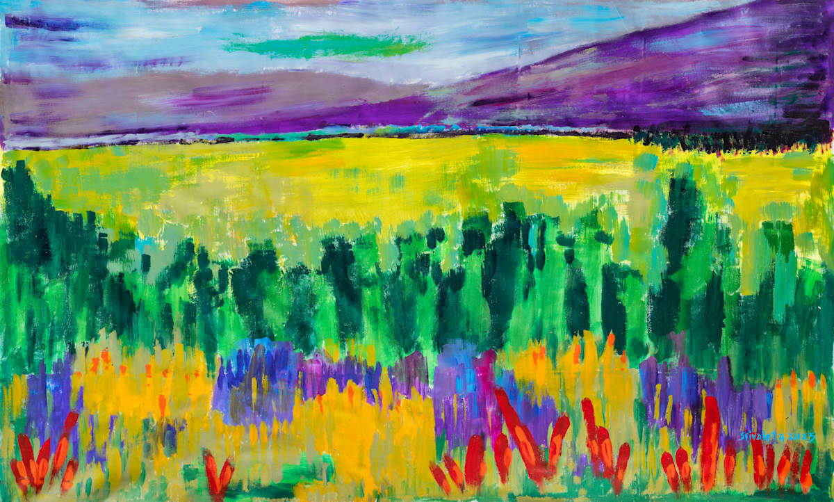 Vista a Sierra de la Ventana by Stivaletta, Mabel Rosario, Image 5.