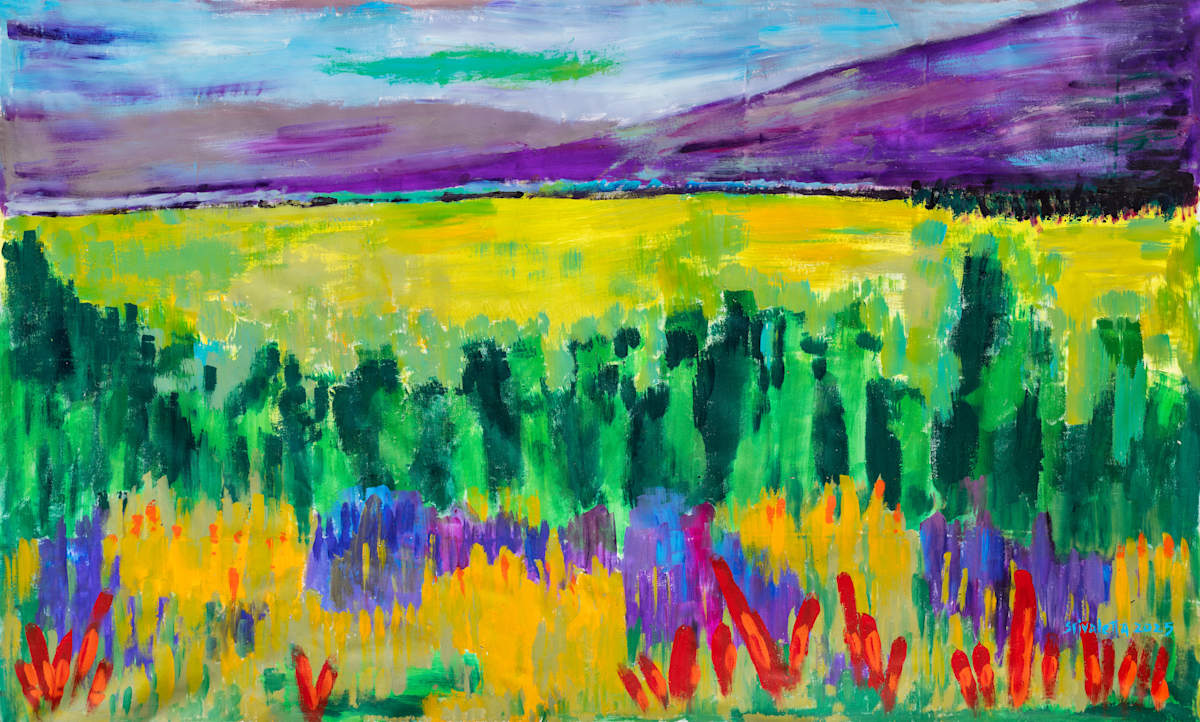 Vista a Sierra de la Ventana by Stivaletta, Mabel Rosario, Image 5.