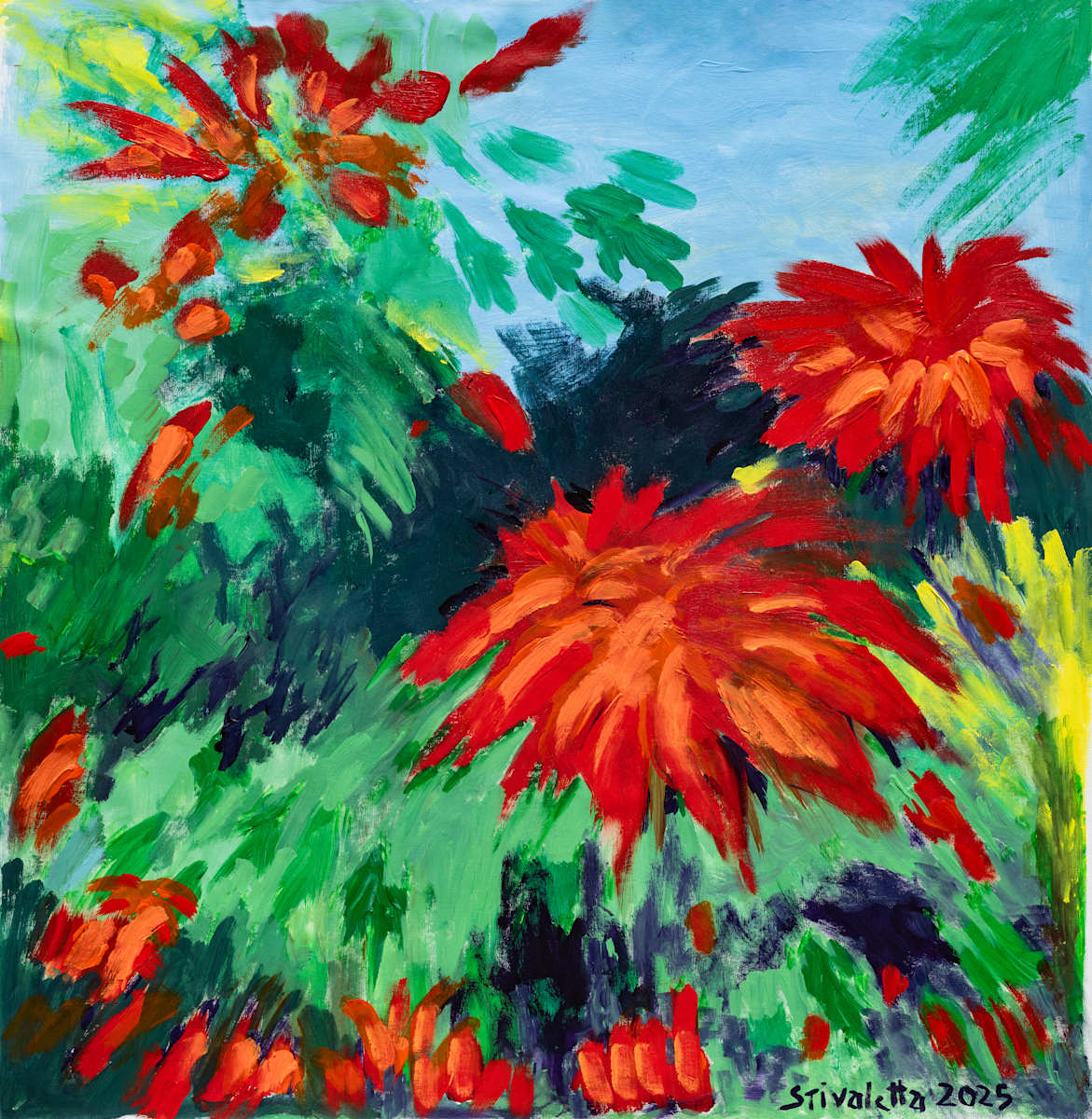 Estrellas Federales en México   _jehkwd_5 by Stivaletta, Mabel Rosario, Image 7.