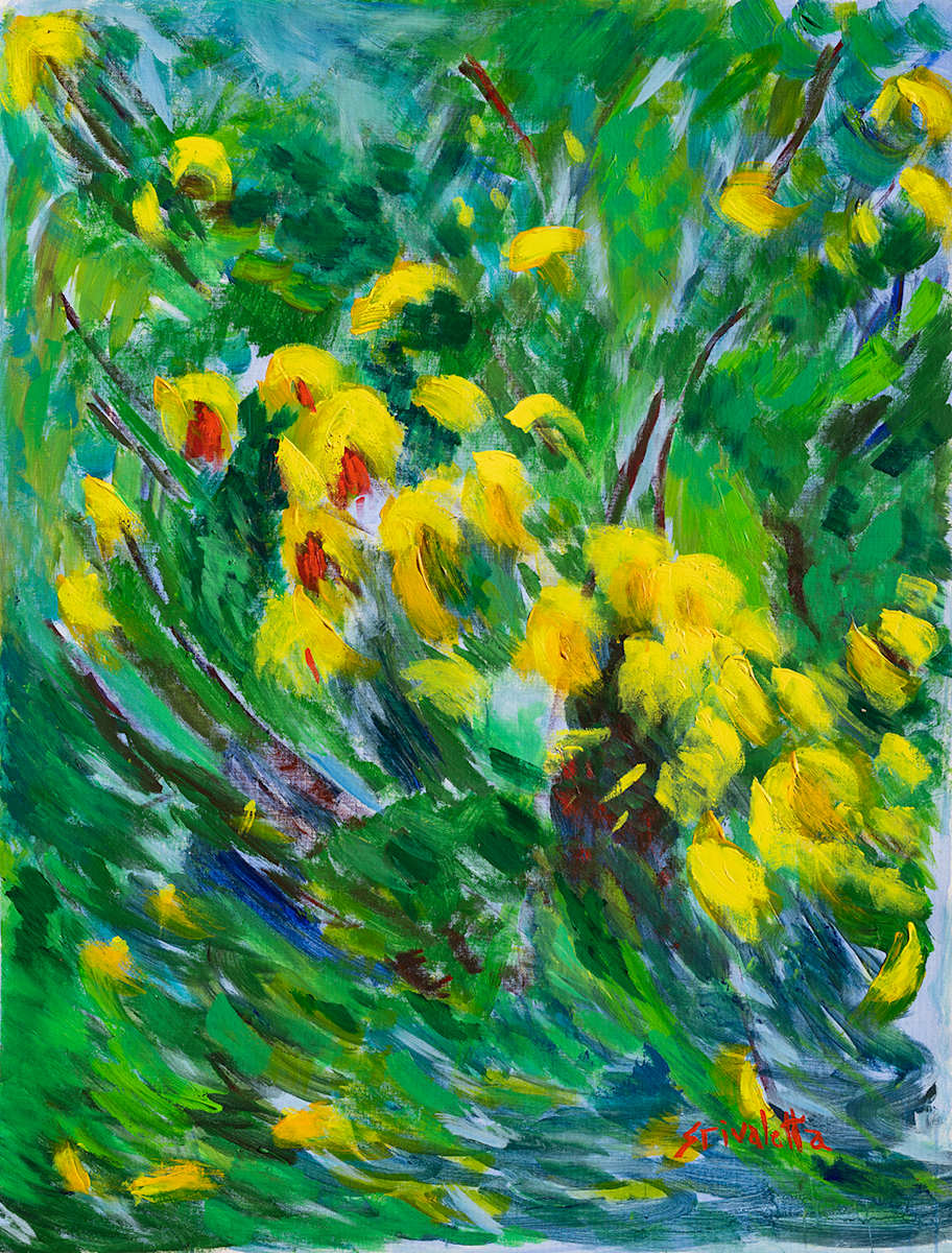 Retamas en la Cascada by Stivaletta, Mabel Rosario, Image 1.