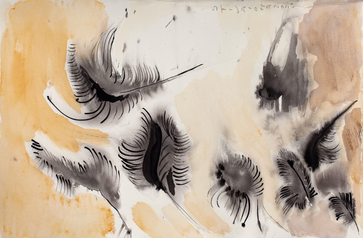 Plumas 