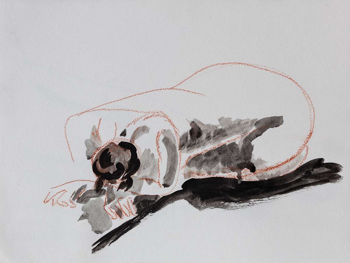 Modelo by Stivaletta, Mabel Rosario 