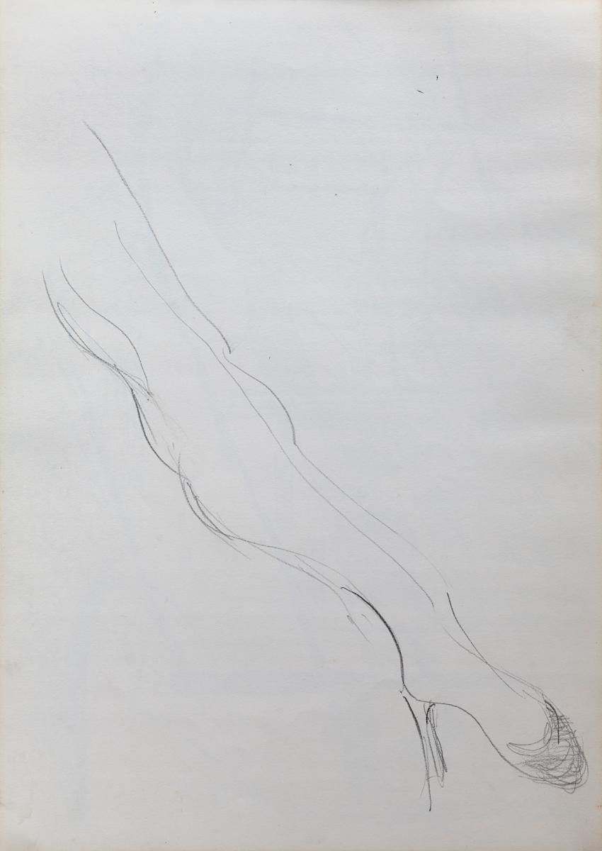 Estudio de pierna by Stivaletta, Mabel Rosario 