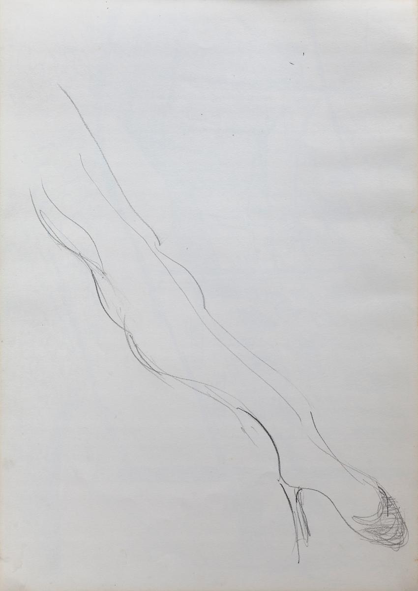 Estudio de pierna by Stivaletta, Mabel Rosario, Image 5.
