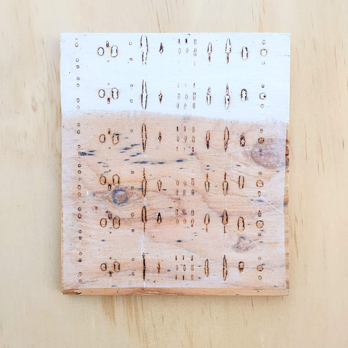 Veiled - white by Krisanne Souter 