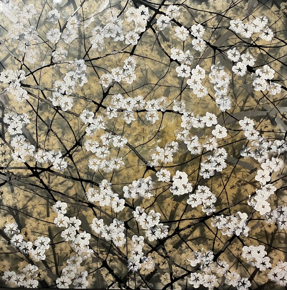 1) Cherry bloom by Robin Eckardt 