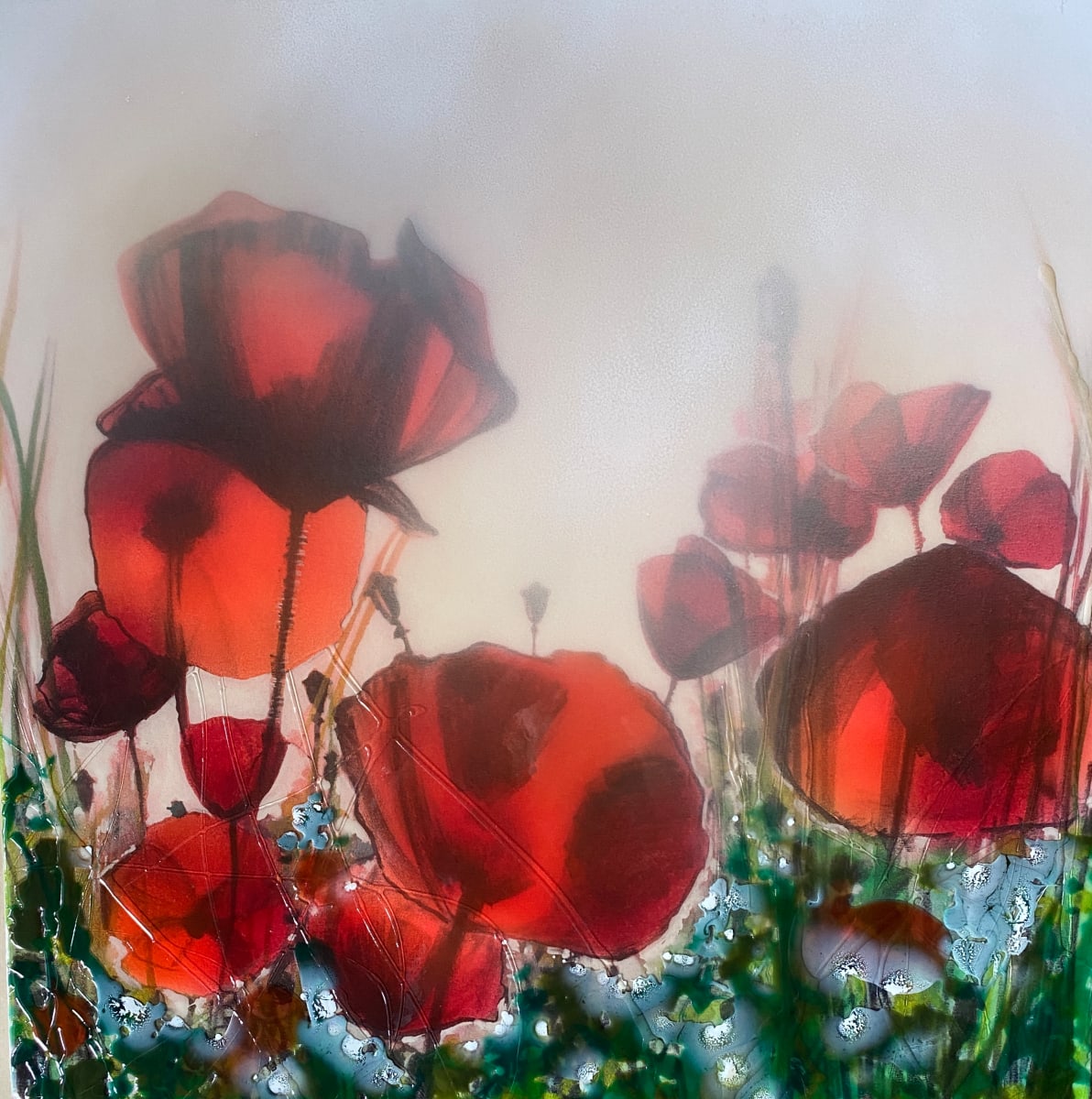 1) Field of poppies by Robin Eckardt 