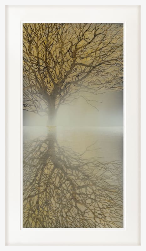 Reflections - Limited Edition Print 5/150 