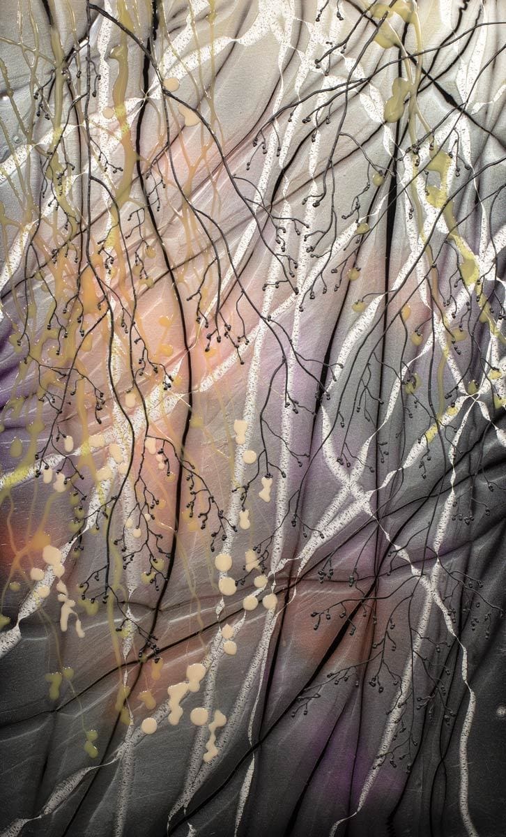 1) First Signs of Spring by Robin Eckardt 