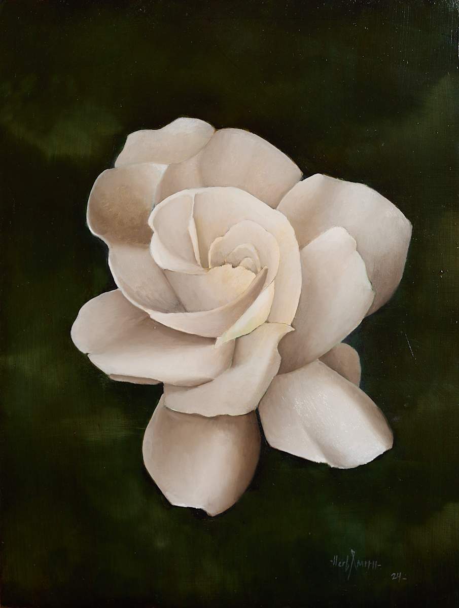 Gardenia by Herb Smith, Image 1.