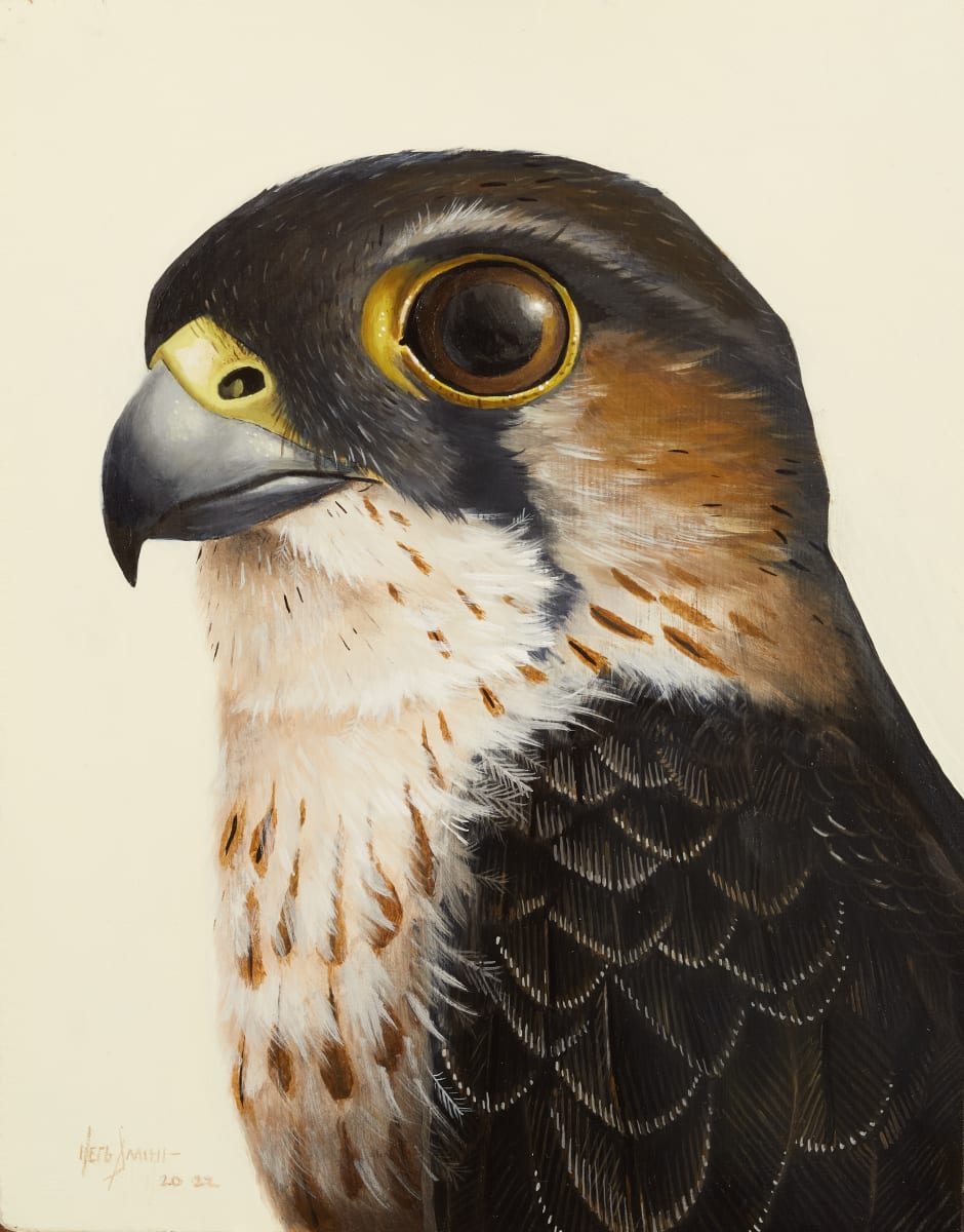 Merlin 