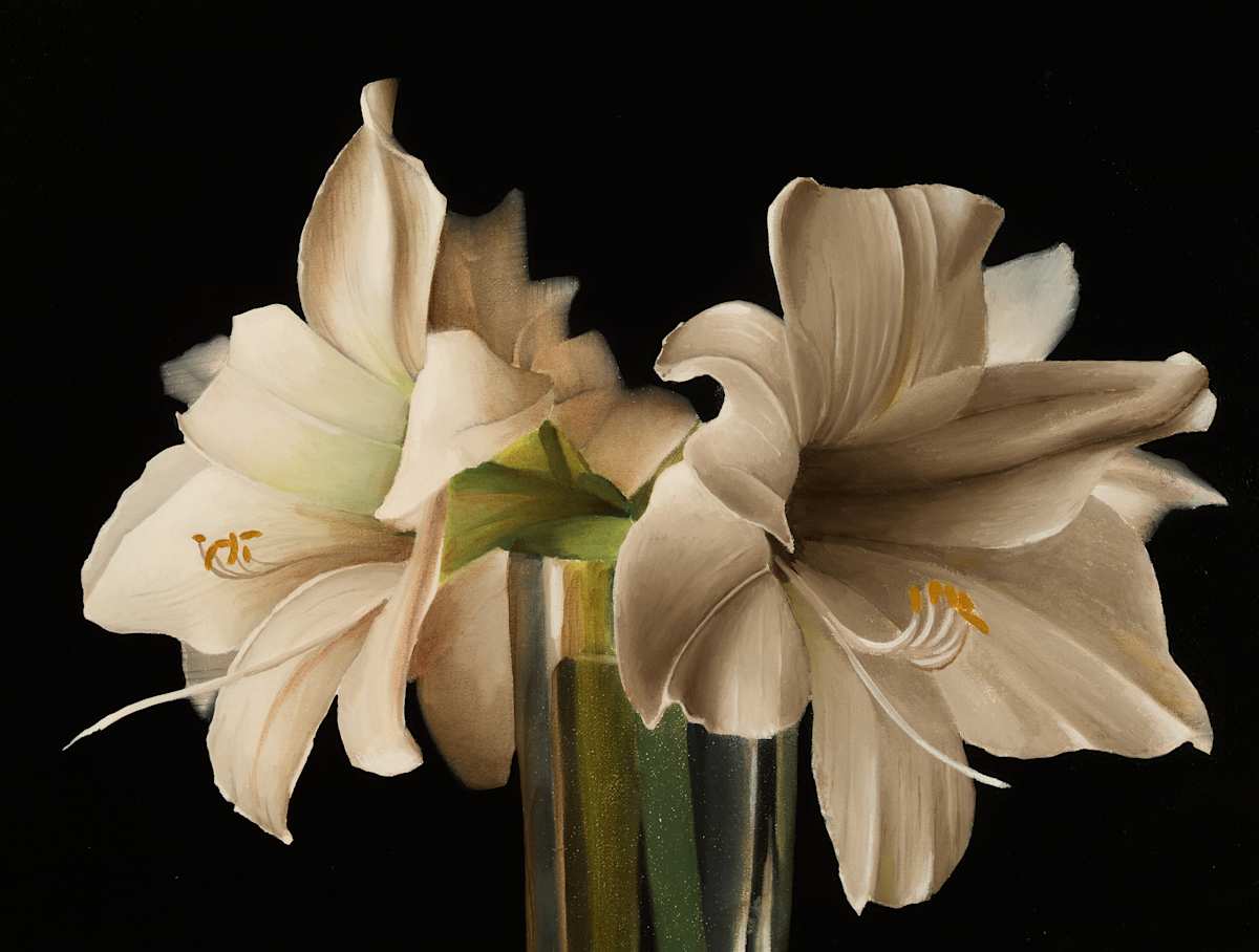 White amaryllis by Herb Smith, Image 1.