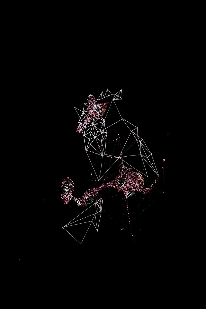 Tail Frequency (OVF-002) / 18x12 by Maria Lankina, Image 1.