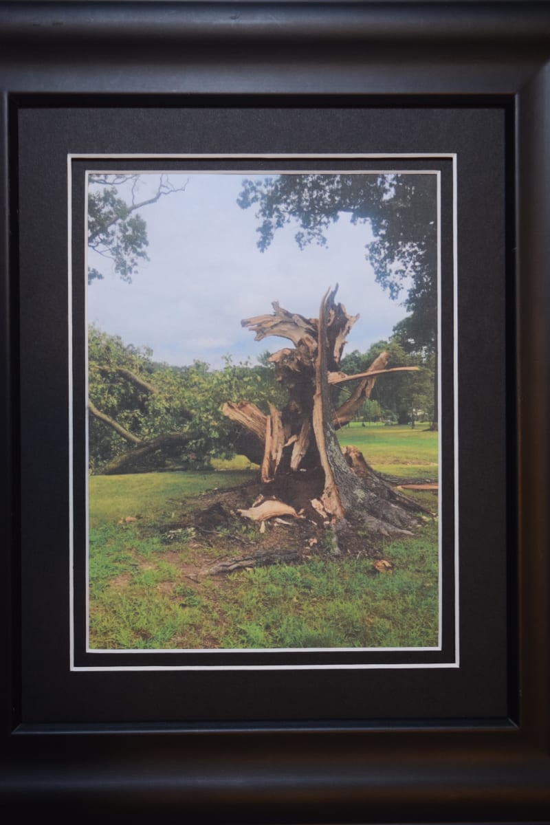 Isaias by Jill Hanifan 