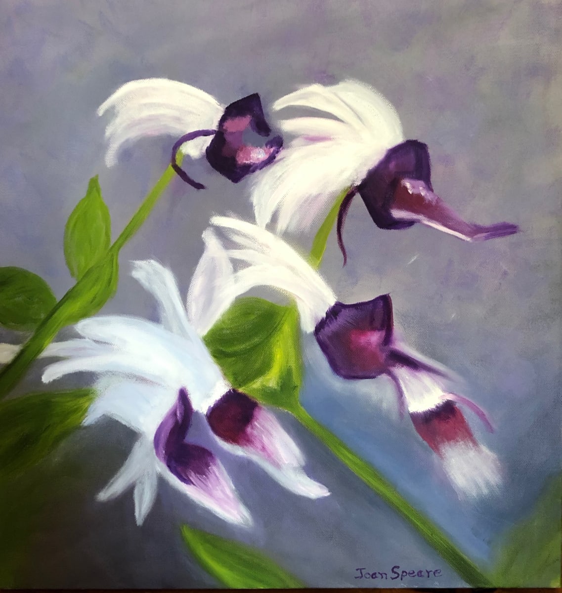 Orchids In The Wind by Joan Speare 