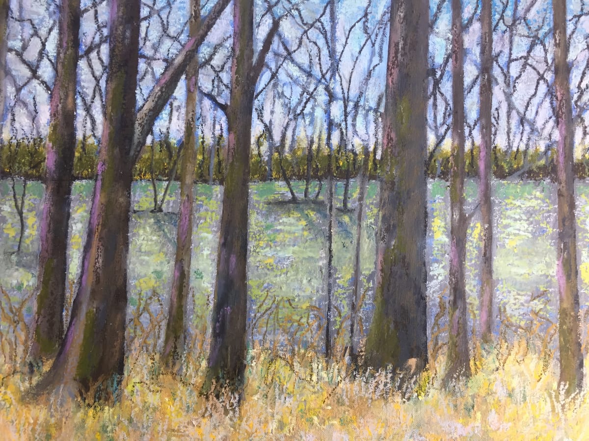 Livingston Marsh by Richard DiGiovanna 