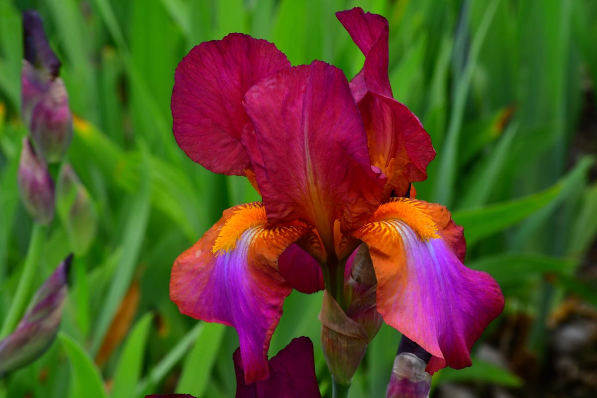 Presby by Robert  Szpila 