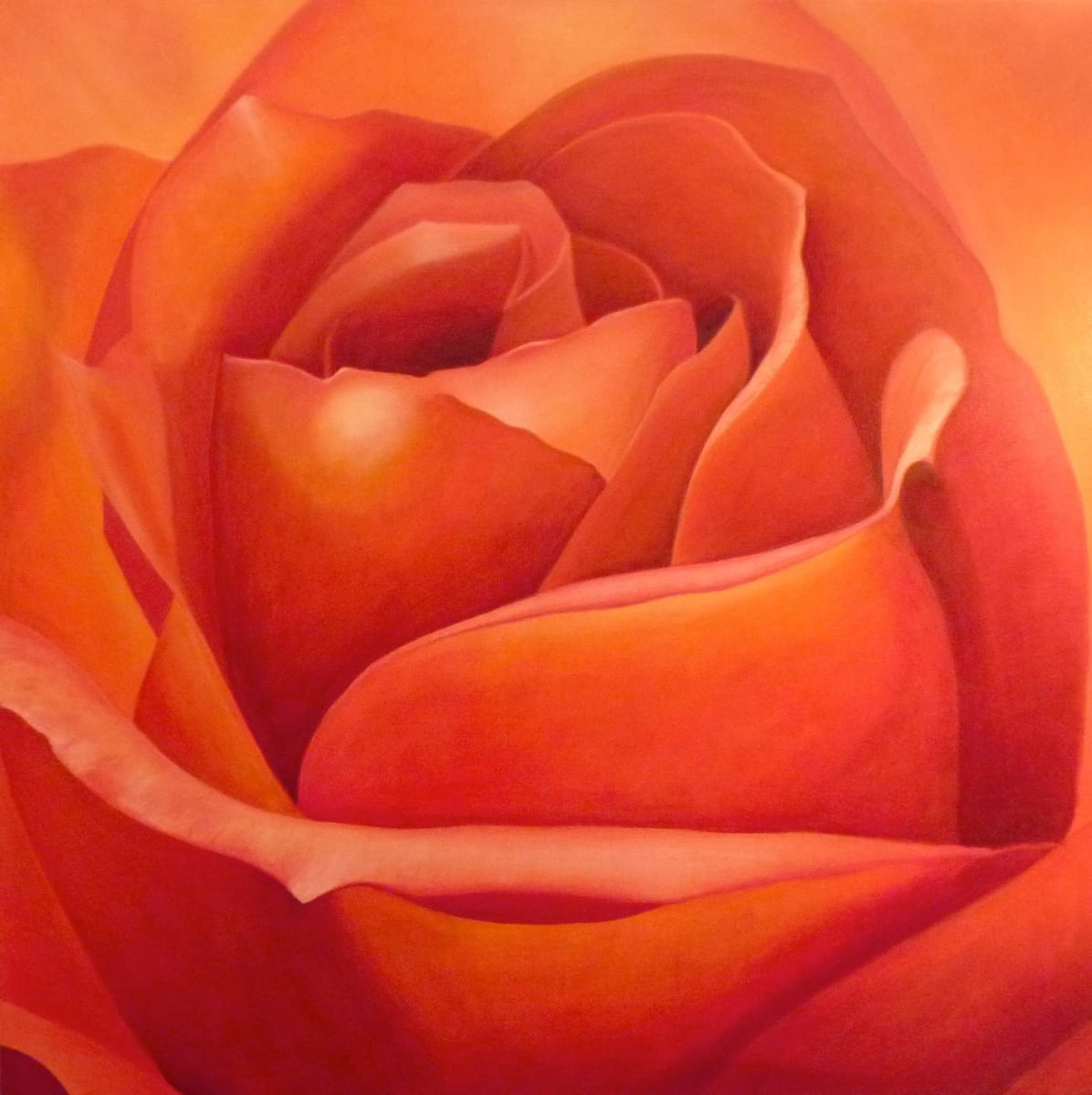 Rose, Image 1.