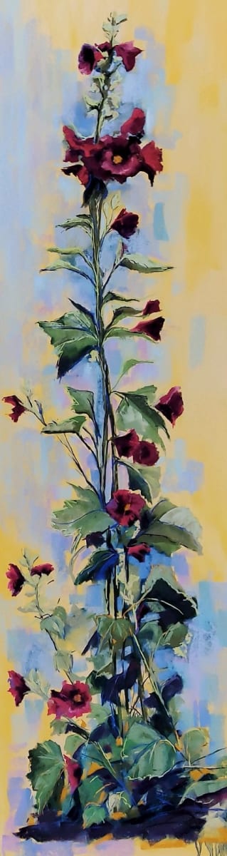 Hollyhocks 