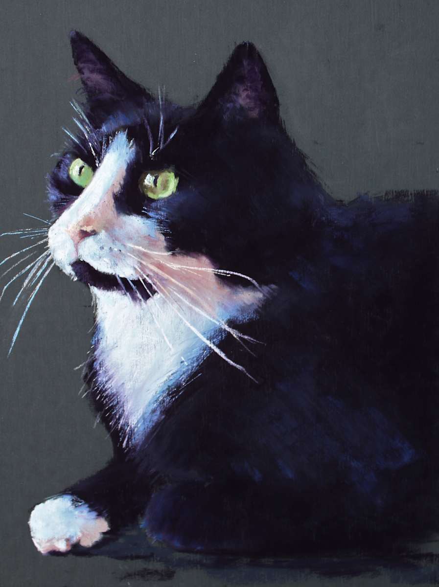 Cookie, Image 1.