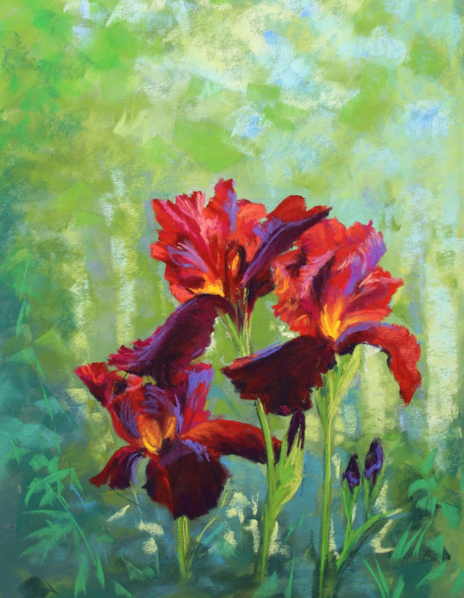 Red Iris by Renee Leopardi 