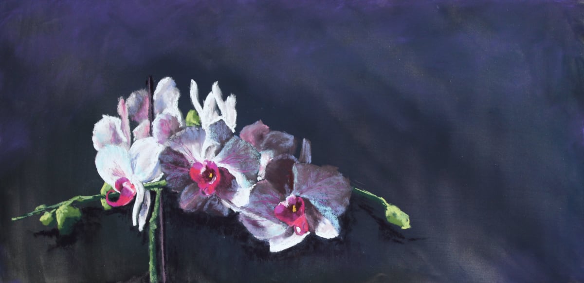 Orchid Drama by Renee Leopardi, Image 1.