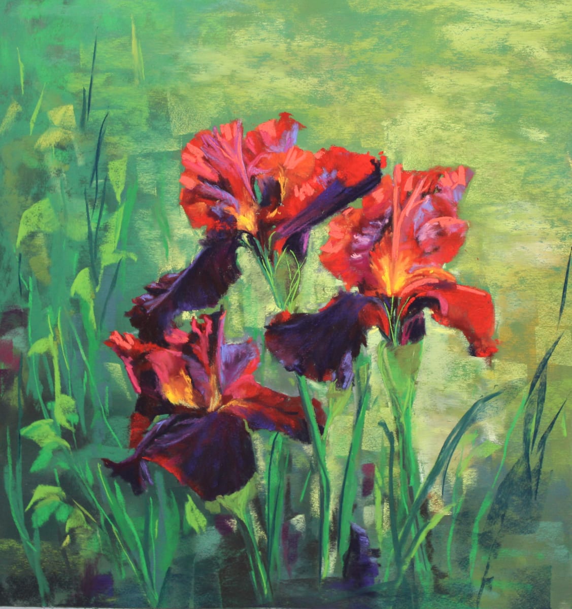 Red Irises 2 