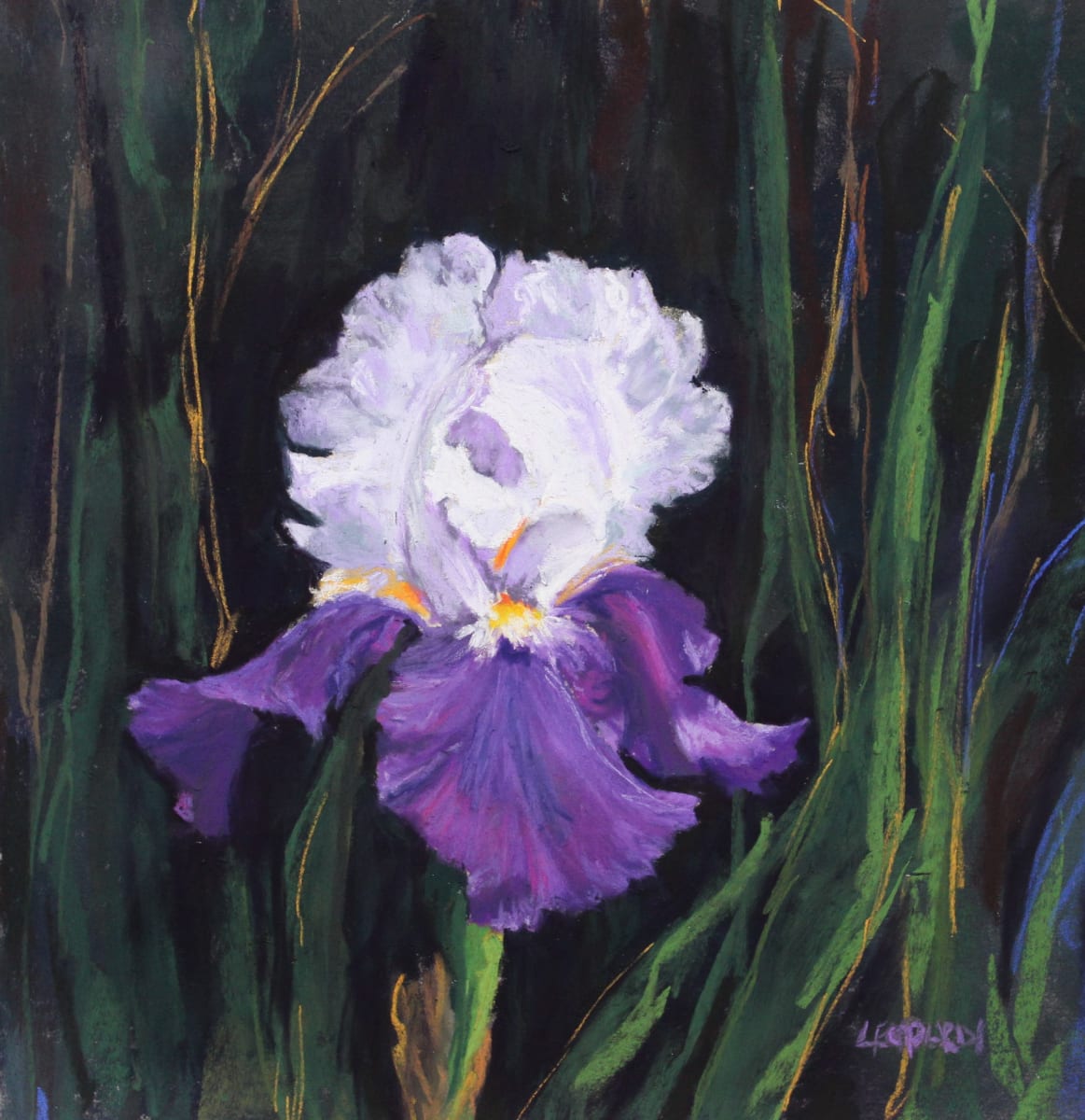 Purple and White Iris by Renee Leopardi 