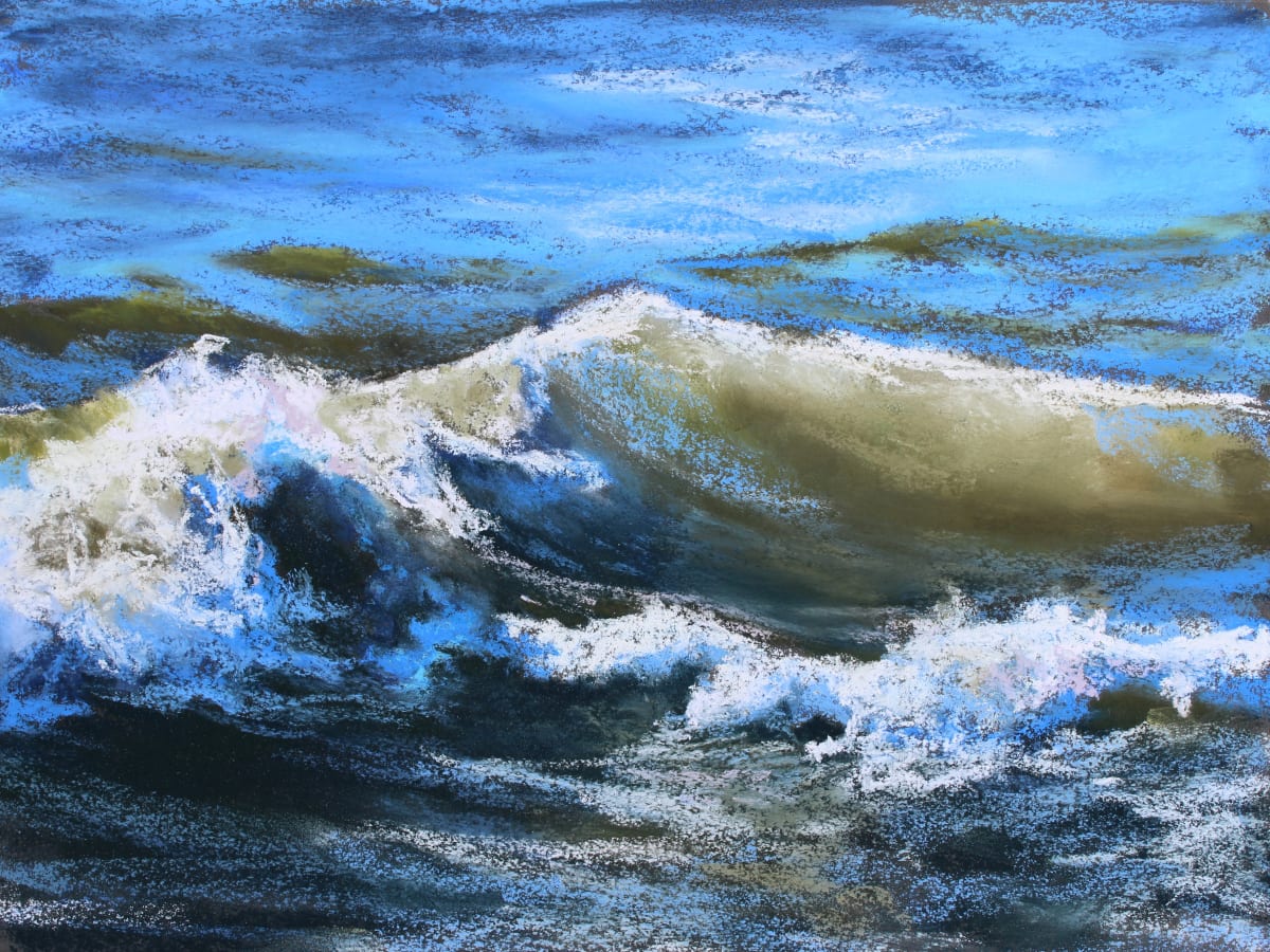 Swoop by Renee Leopardi 