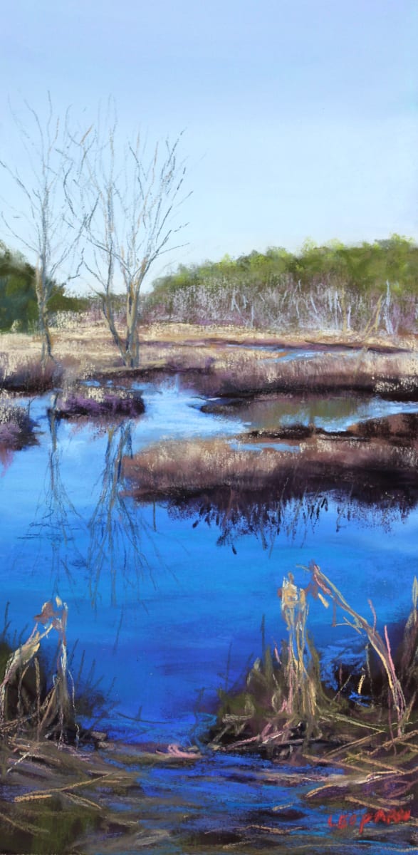 Quaker Bridge Road by Renee Leopardi 