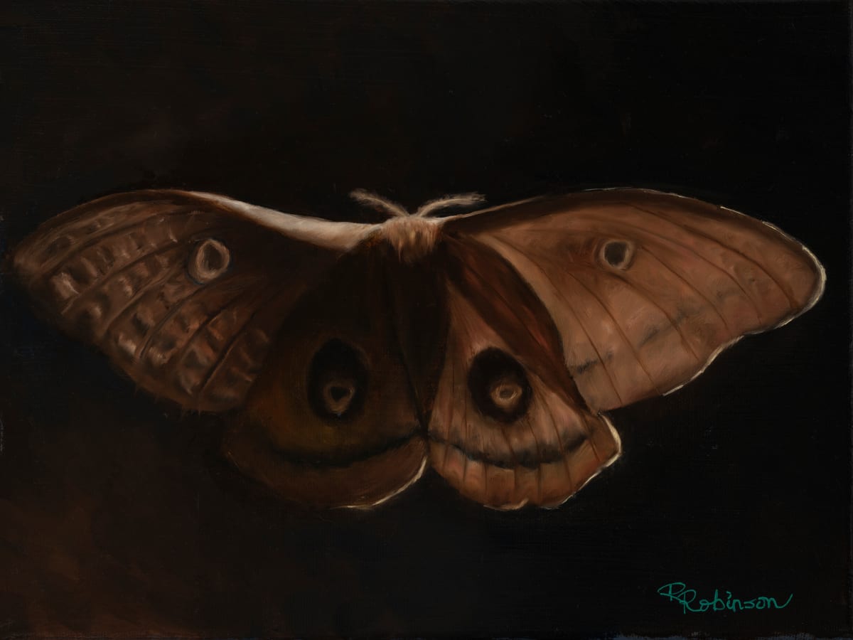 Erik's Moth by Randy Robinson 