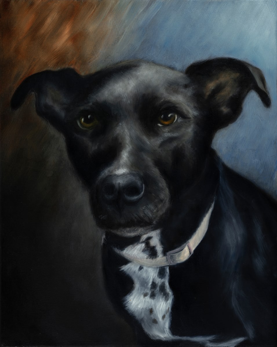 Bailey  Image: In loving memory, Bailey, the artist's family pitlab. 