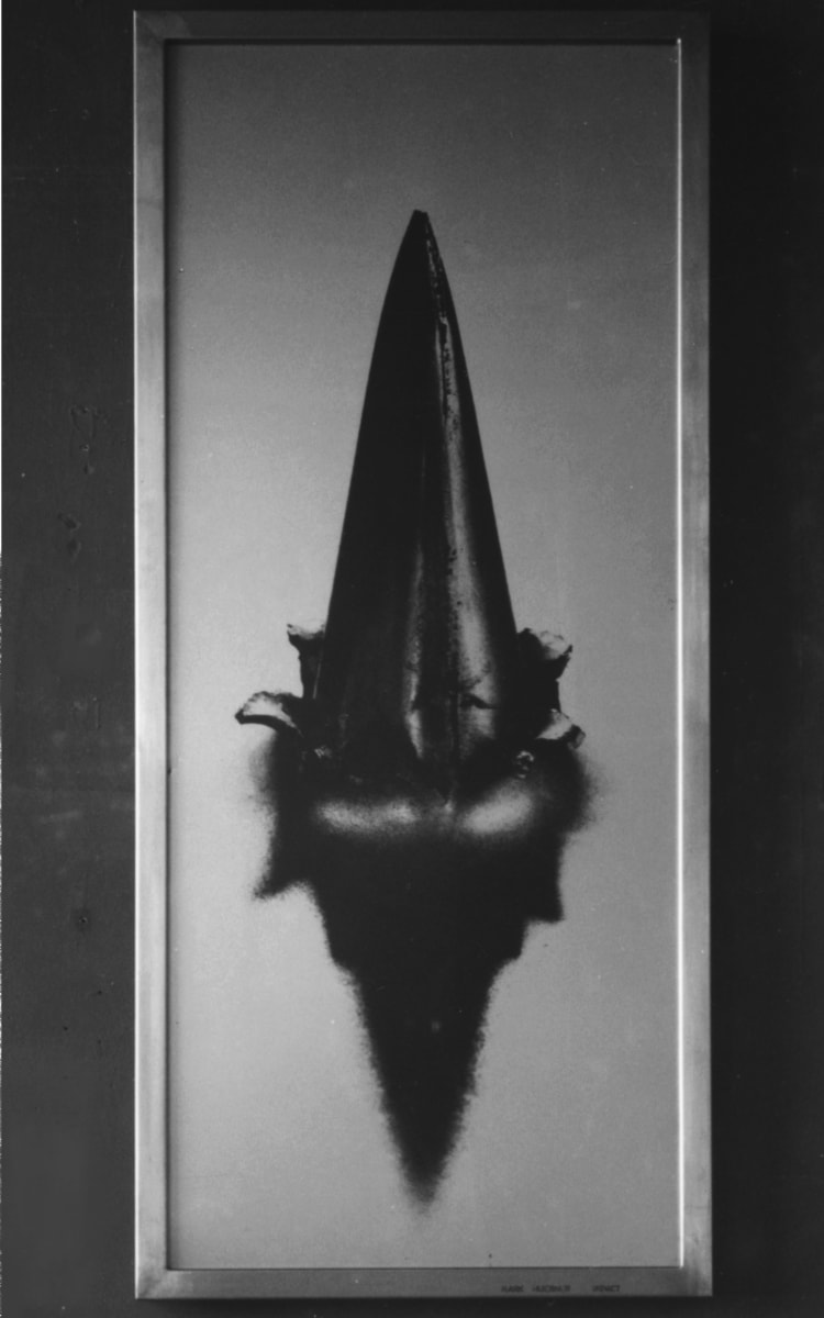 SPIKE I by M A R K    H U E B N E R, Image 1.