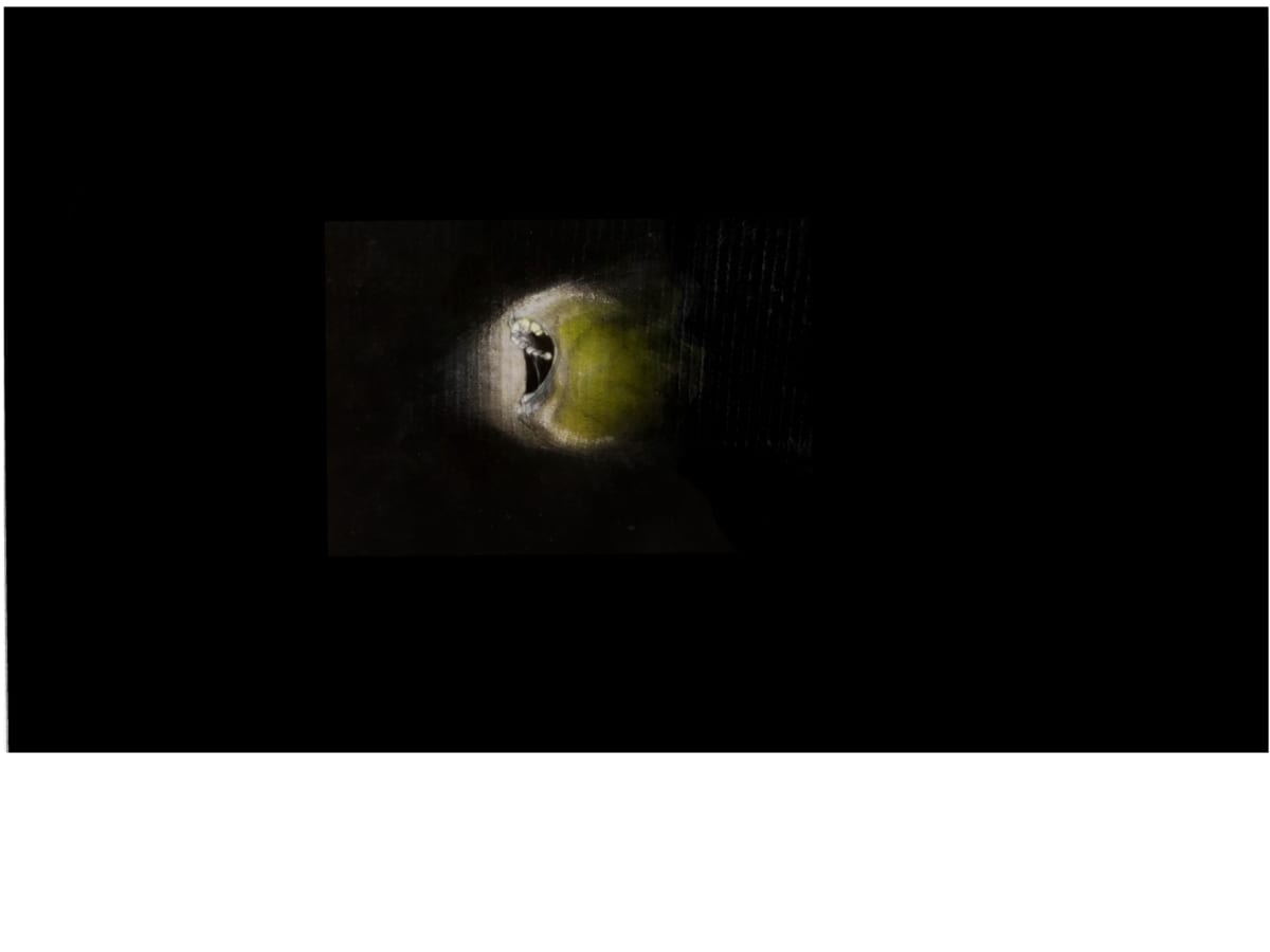 From PROJECT PATH: MIND EXTINCTION by M A R K    H U E B N E R 