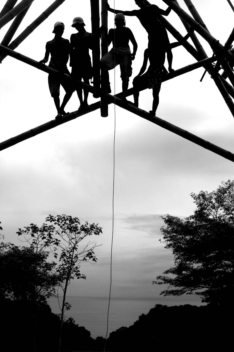 Ltd. Ed. from the PROJECT: BAMBOO ROCKS by MARK.  Image: original Print, Ltd. Ed. 1-50, 2AP