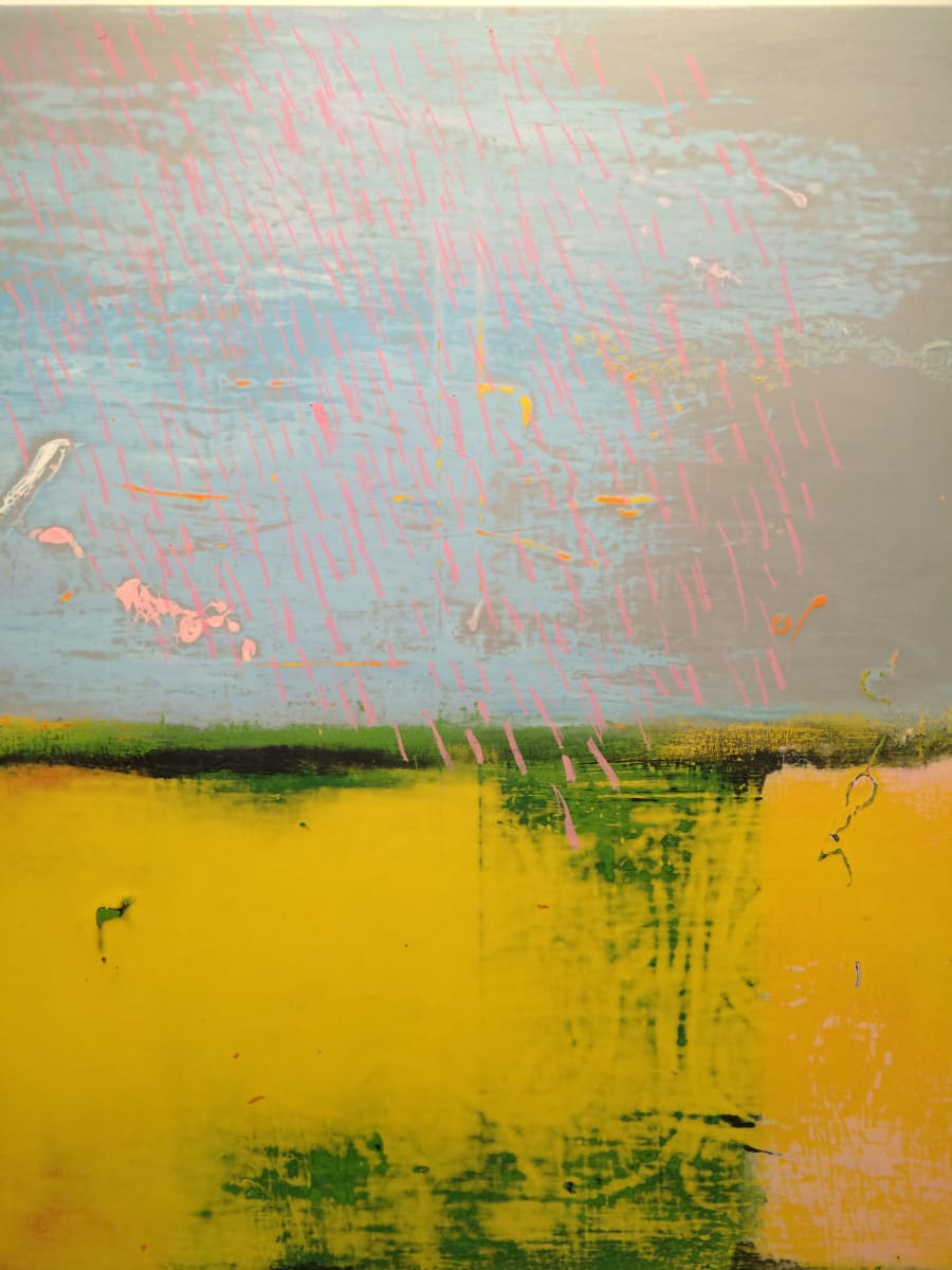 Lamb Custard Raspberry Rain 