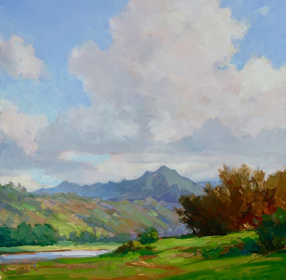 Afternoon Cloudy Hanalei Valley by Jeni  Prince 