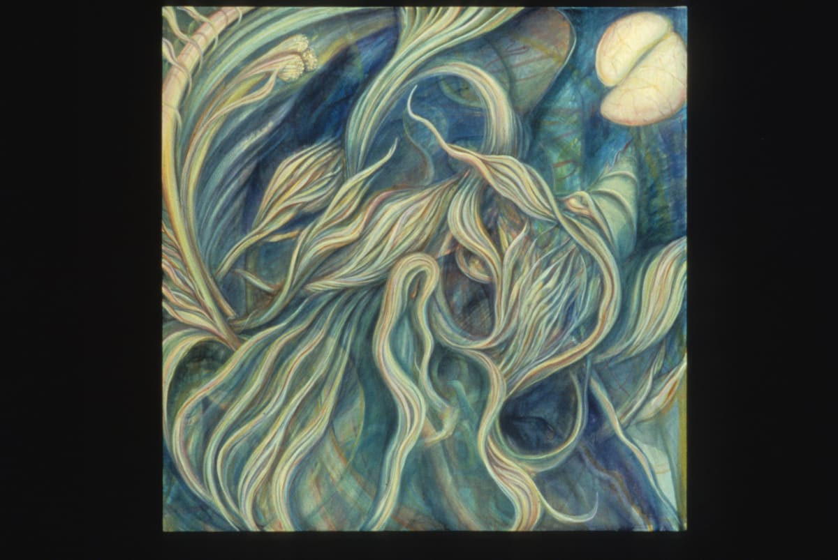 Two Moons of Sea by Gilah Yelin Hirsch 