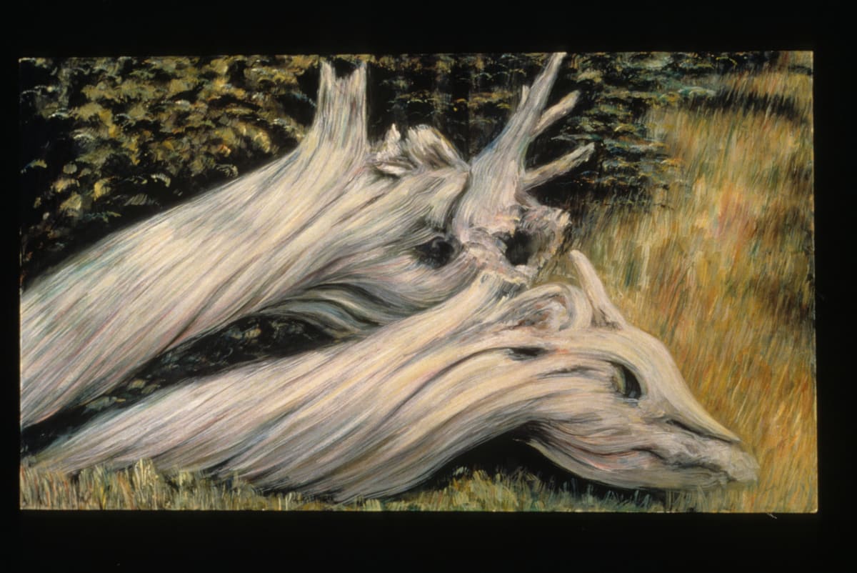 Aging Together by Gilah Yelin Hirsch, Image 1.
