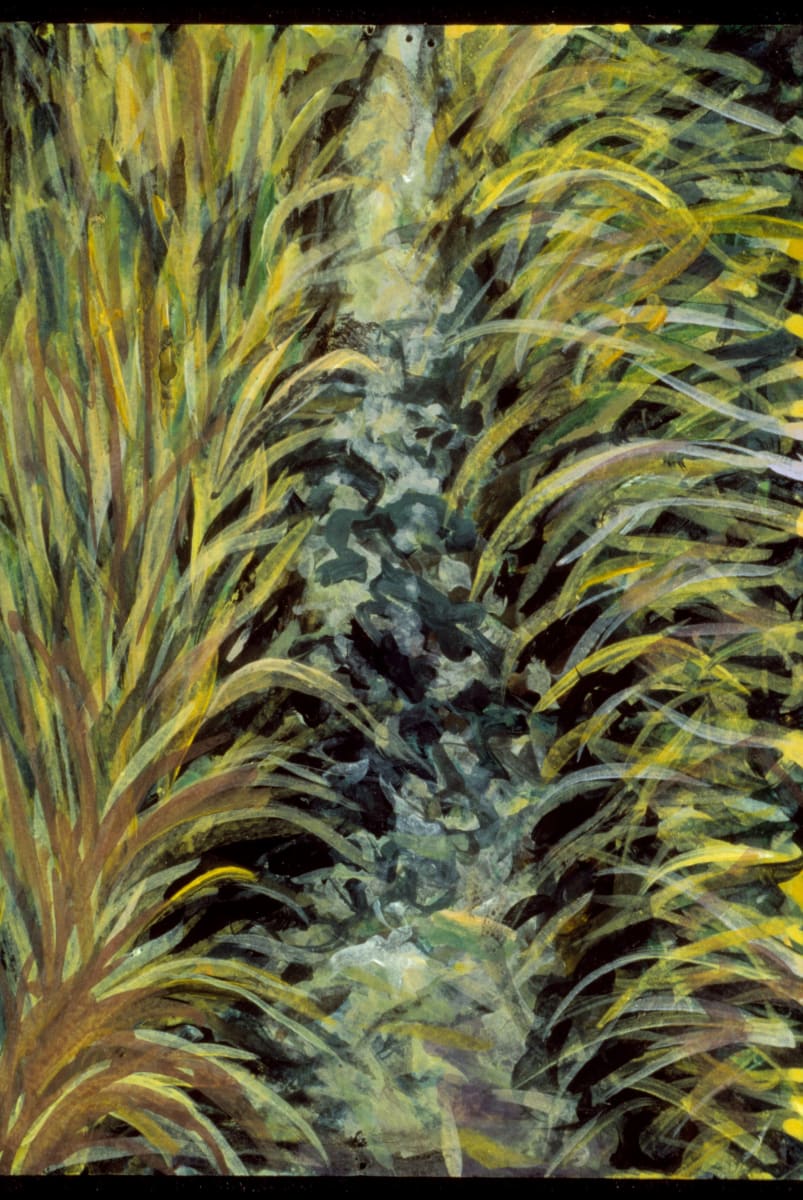 Annaghmakerrig Postcard Series #24 by Gilah Yelin Hirsch  Image: matte, 10.5"x12.5"