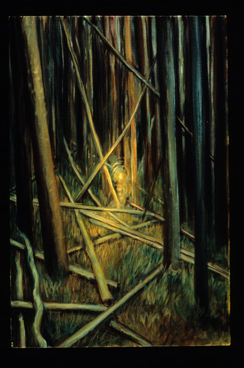 Catching Light in the Forest by Gilah Yelin Hirsch 