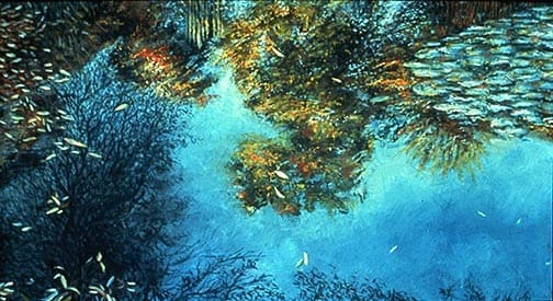 Dorland Pond #36 by Gilah Yelin Hirsch 