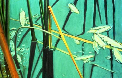 Dorland Pond #39 by Gilah Yelin Hirsch 