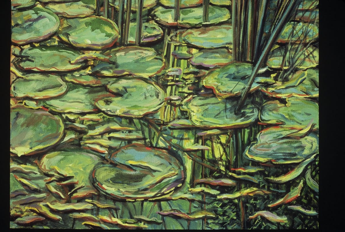 Dorland Pond #59 by Gilah Yelin Hirsch 