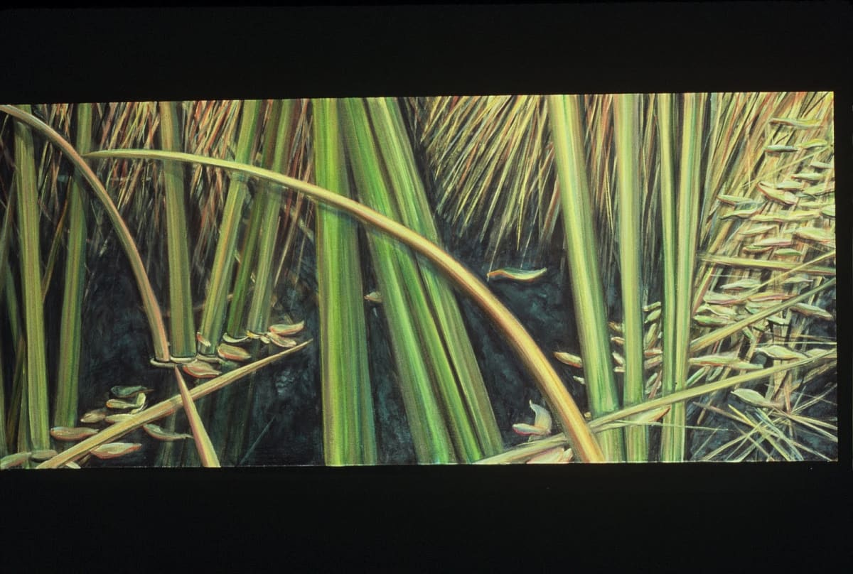 Dorland Pond #66 by Gilah Yelin Hirsch 