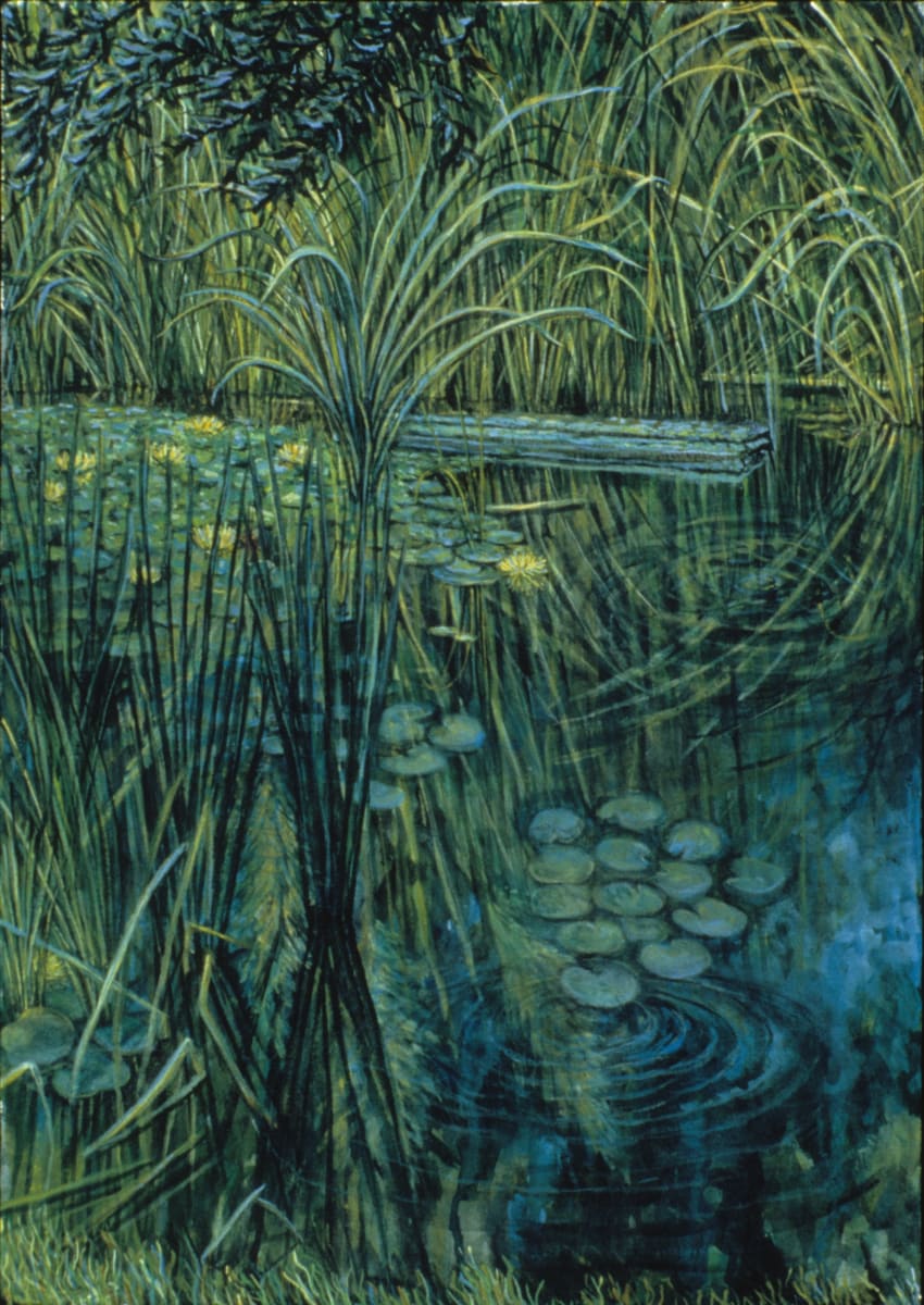 Dorland Pond #06 by Gilah Yelin Hirsch 