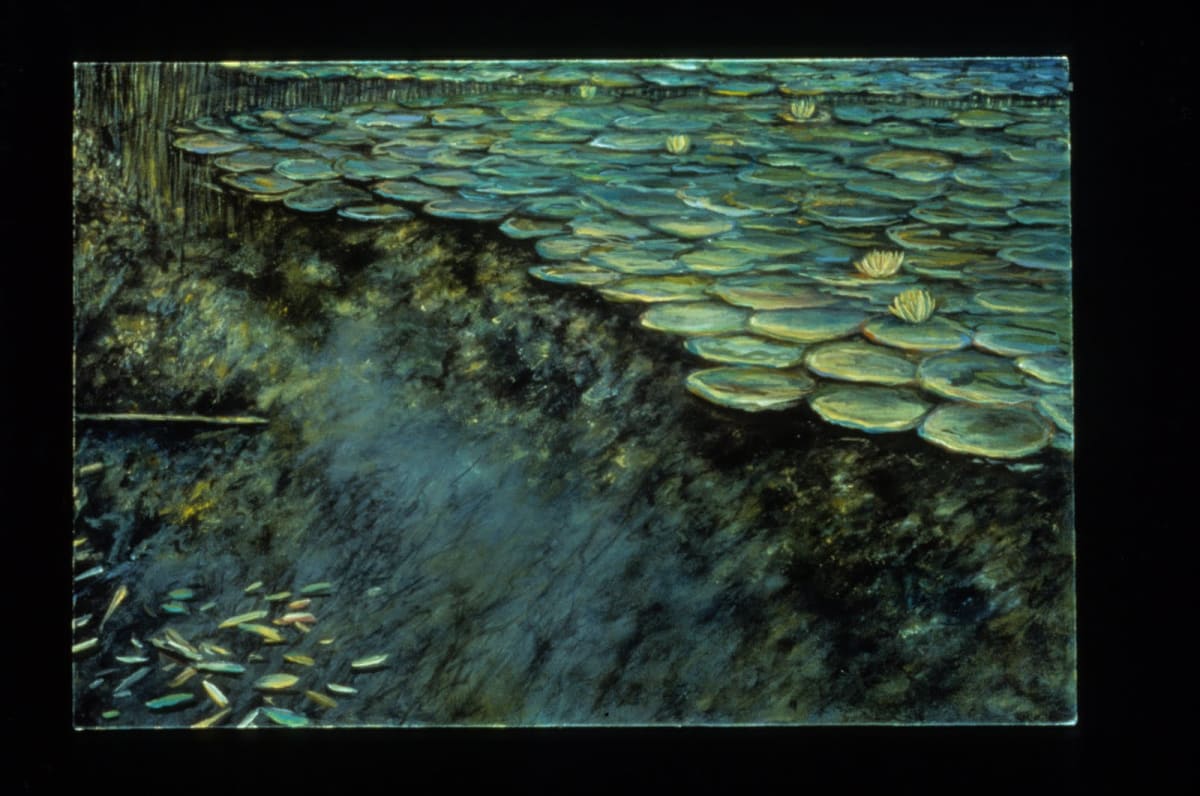Dorland Pond #70, Late Morning by Gilah Yelin Hirsch 