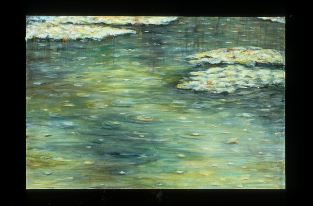 Dorland Pond #74 by Gilah Yelin Hirsch 
