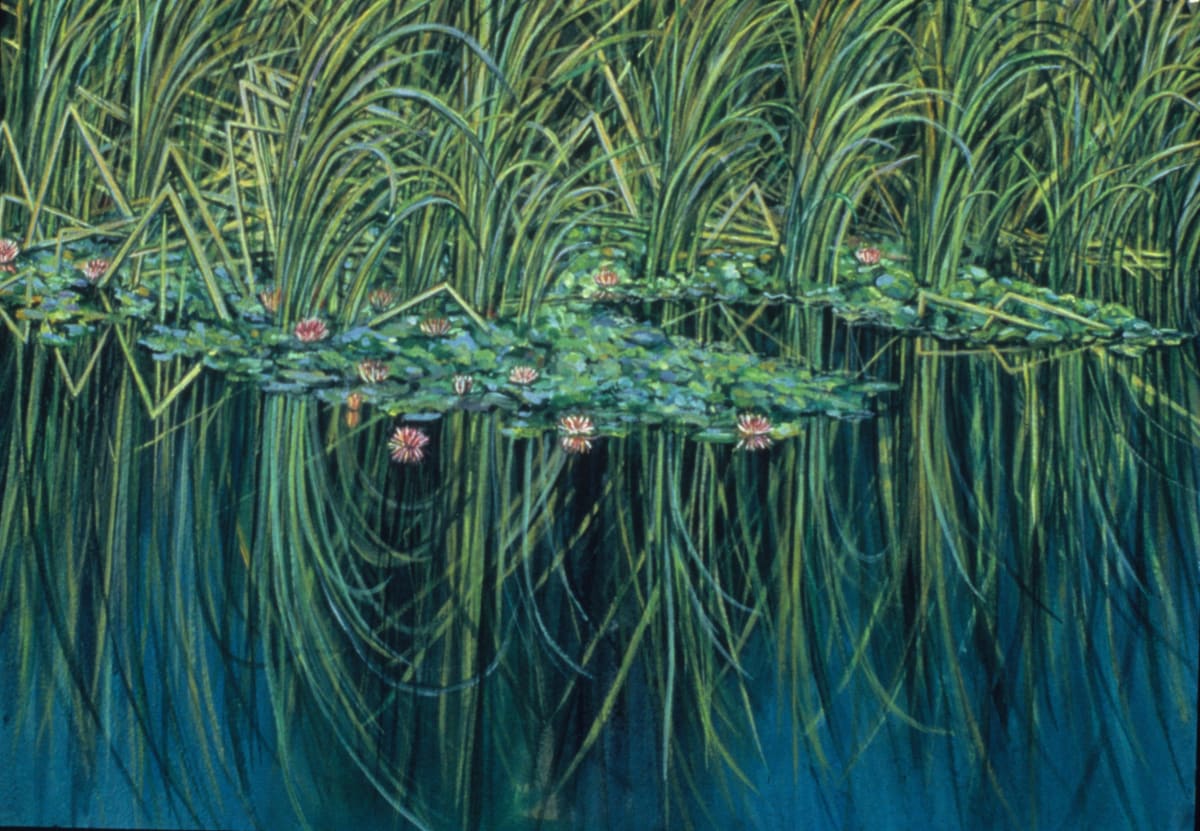 Dorland Pond #08 by Gilah Yelin Hirsch 